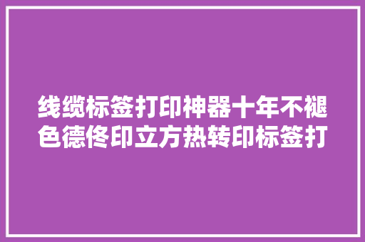 线缆标签打印神器十年不褪色德佟印立方热转印标签打印机评测