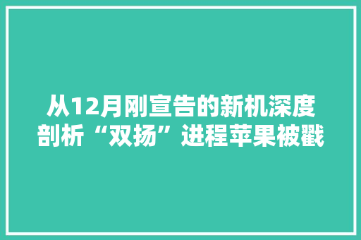从12月刚宣告的新机深度剖析“双扬”进程苹果被戳到把柄了 从12月刚宣告的新机深度剖析“双扬”进程苹果被戳到把柄了 智能科技