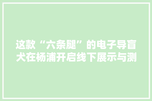 这款“六条腿”的电子导盲犬在杨浦开启线下展示与测试