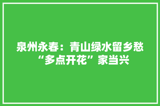 泉州永春：青山绿水留乡愁 “多点开花”家当兴