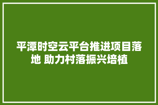 平潭时空云平台推进项目落地 助力村落振兴培植