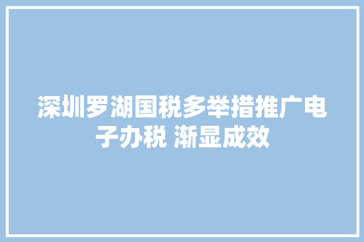 深圳罗湖国税多举措推广电子办税 渐显成效