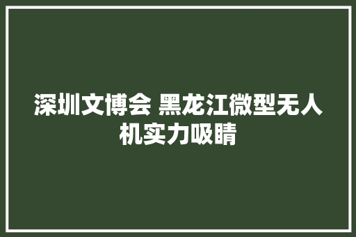 深圳文博会 黑龙江微型无人机实力吸睛
