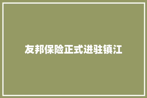 友邦保险正式进驻镇江 友邦保险正式进驻镇江 智能科技