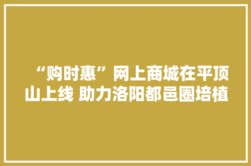 “购时惠”网上商城在平顶山上线 助力洛阳都邑圈培植 “购时惠”网上商城在平顶山上线 助力洛阳都邑圈培植 人工智能