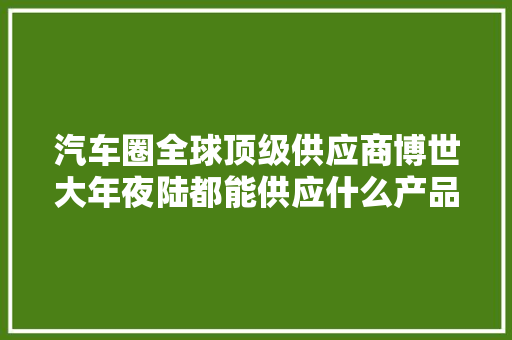 汽车圈全球顶级供应商博世大年夜陆都能供应什么产品？