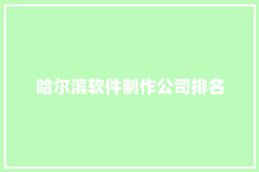 哈尔滨软件制作公司排名