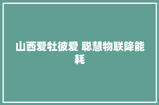 山西爱牡彼爱 聪慧物联降能耗
