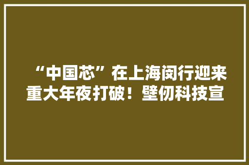 “中国芯”在上海闵行迎来重大年夜打破！壁仞科技宣告首款通用GPU芯片创全球算力新记录