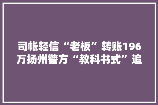 司帐轻信“老板”转账196万扬州警方“教科书式”追回