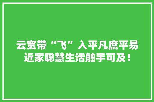 云宽带“飞”入平凡庶平易近家聪慧生活触手可及！