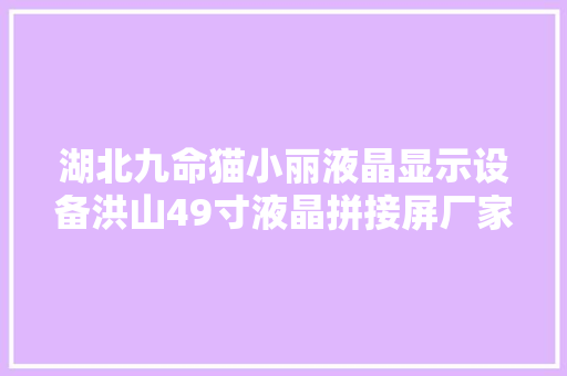 湖北九命猫小丽液晶显示设备洪山49寸液晶拼接屏厂家