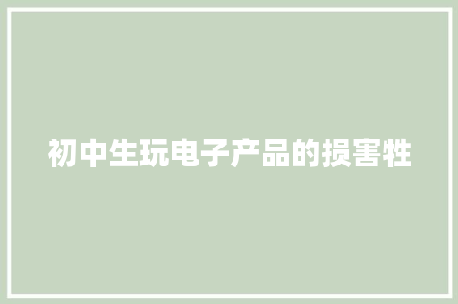 初中生玩电子产品的损害牲