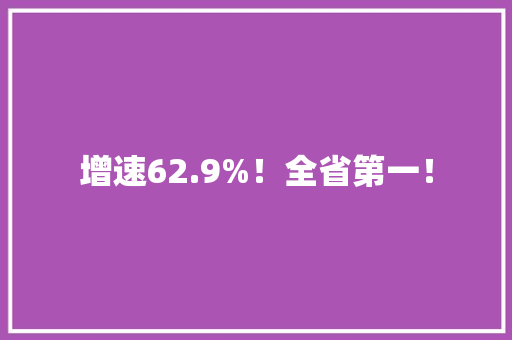 增速62.9%！全省第一！ 增速62.9%！全省第一！ 智能家居