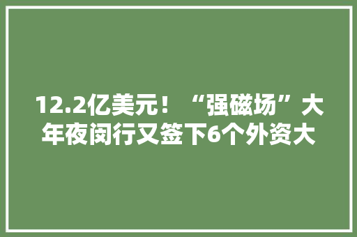 12.2亿美元！“强磁场”大年夜闵行又签下6个外资大年夜项目