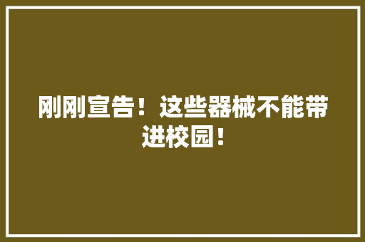 刚刚宣告！这些器械不能带进校园！