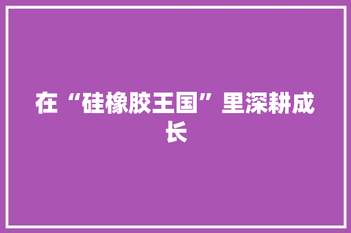 在“硅橡胶王国”里深耕成长 人工智能