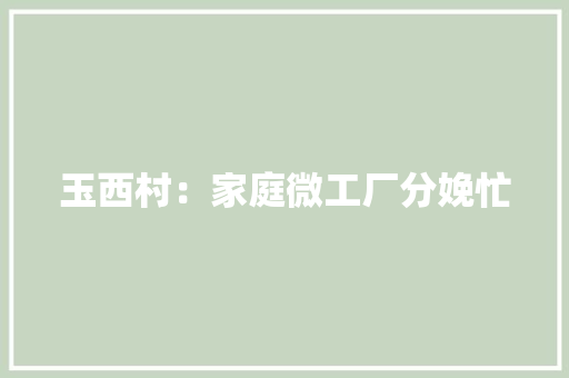 玉西村：家庭微工厂分娩忙 玉西村：家庭微工厂分娩忙 智能家居