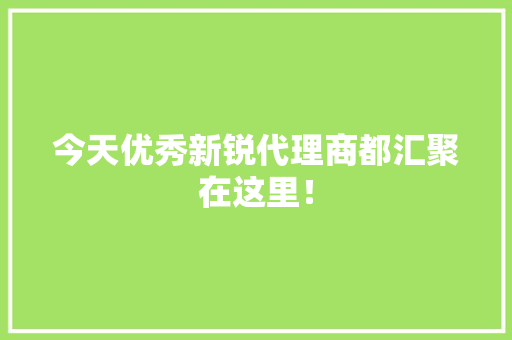 今天优秀新锐代理商都汇聚在这里！