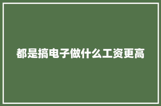 都是搞电子做什么工资更高