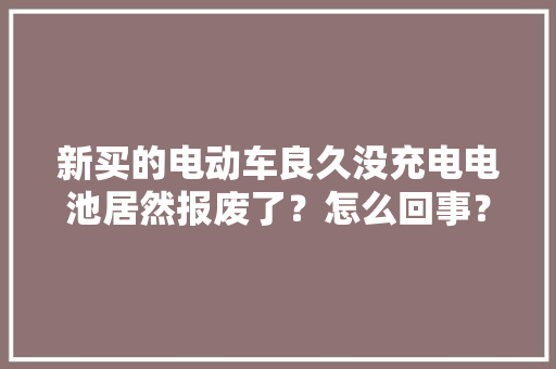新买的电动车良久没充电电池居然报废了？怎么回事？