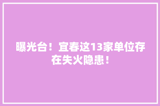 曝光台！宜春这13家单位存在失火隐患！