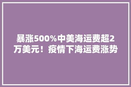 暴涨500%中美海运费超2万美元！疫情下海运费涨势何时是尽头？
