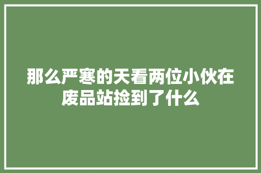 那么严寒的天看两位小伙在废品站捡到了什么 那么严寒的天看两位小伙在废品站捡到了什么 互联通信
