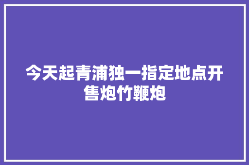 今天起青浦独一指定地点开售炮竹鞭炮