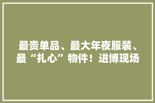 最贵单品、最大年夜服装、最“扎心”物件！进博现场这些好物不容错过