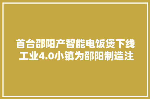 首台邵阳产智能电饭煲下线 工业4.0小镇为邵阳制造注入新动能