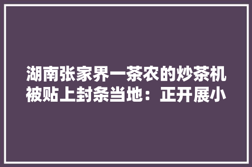 湖南张家界一茶农的炒茶机被贴上封条当地：正开展小作坊整治行动