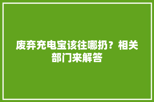 废弃充电宝该往哪扔？相关部门来解答