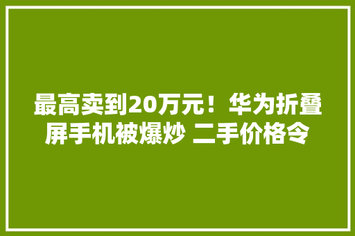 最高卖到20万元！华为折叠屏手机被爆炒 二手价格令人咋舌 最高卖到20万元！华为折叠屏手机被爆炒 二手价格令人咋舌 互联通信