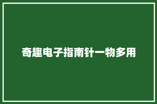 奇趣电子指南针一物多用