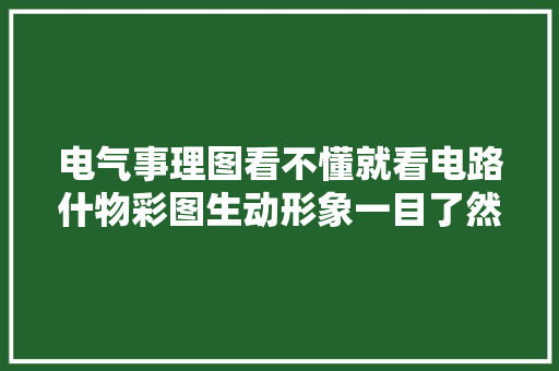 电气事理图看不懂就看电路什物彩图生动形象一目了然