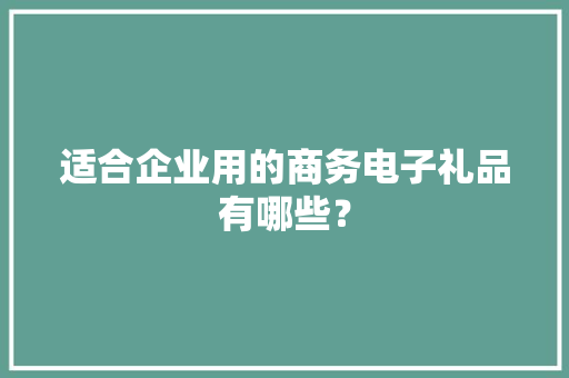 适合企业用的商务电子礼品有哪些？ 适合企业用的商务电子礼品有哪些？ 智能科技