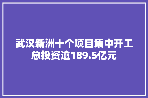 武汉新洲十个项目集中开工总投资逾189.5亿元