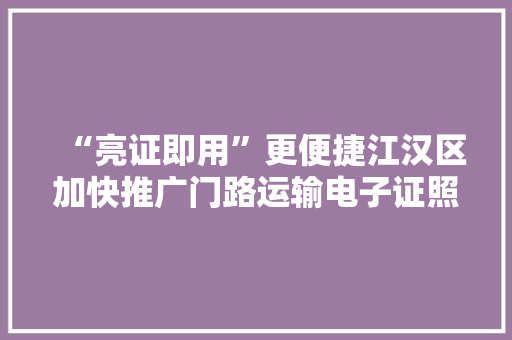 “亮证即用”更便捷江汉区加快推广门路运输电子证照料用普及