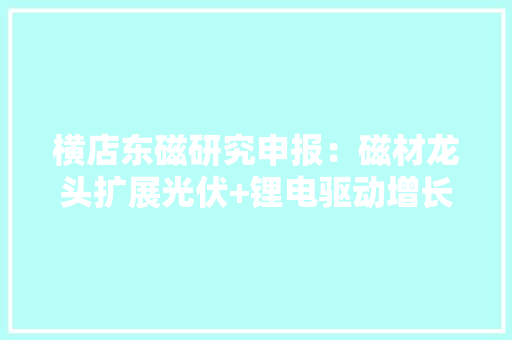 横店东磁研究申报：磁材龙头扩展光伏+锂电驱动增长 横店东磁研究申报：磁材龙头扩展光伏+锂电驱动增长 智能家居