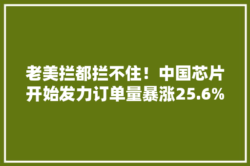 老美拦都拦不住！中国芯片开始发力订单量暴涨25.6%