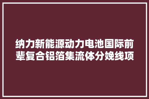 纳力新能源动力电池国际前辈复合铝箔集流体分娩线项目正式投运