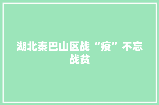 湖北秦巴山区战“疫”不忘战贫