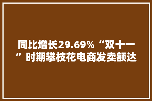 同比增长29.69%“双十一”时期攀枝花电商发卖额达1.48亿元