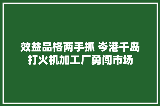 效益品格两手抓 岑港千岛打火机加工厂勇闯市场
