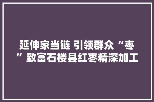 延伸家当链 引领群众“枣”致富石楼县红枣精深加工及仓储家当帮扶基地培植成长纪实