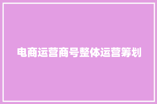 电商运营商号整体运营筹划