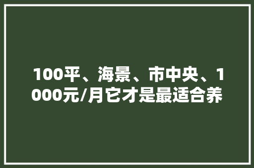 100平、海景、市中央、1000元/月它才是最适合养老的滨海小城 100平、海景、市中央、1000元/月它才是最适合养老的滨海小城 互联通信