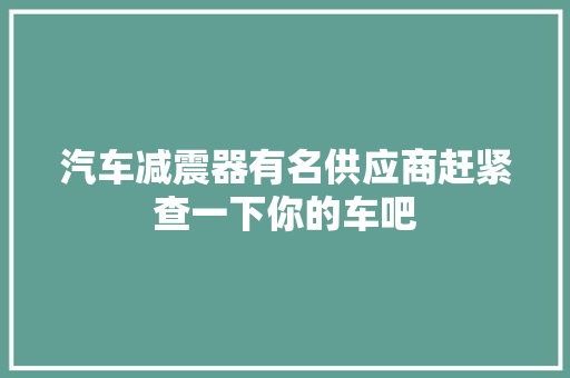 汽车减震器有名供应商赶紧查一下你的车吧