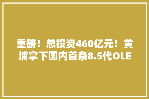 重磅！总投资460亿元！黄埔拿下国内首条8.5代OLED面板分娩线！